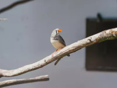  - hotely, pensiony | hportal.cz